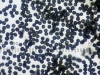 Mold picture- Aspergillus niger Spores