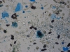 Mold picture- Mixed Airborne Mold Spores