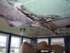 Mold picture- Mold Growing On Ceiling